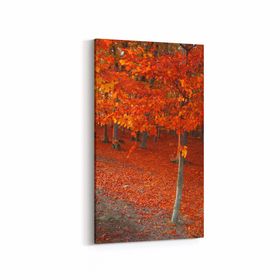Olla 13335DD Doğa Manzara Görseli Dikey Dar 30x60 cm Kanvas Tablo