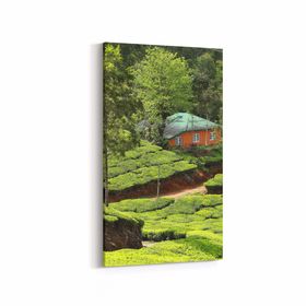 Olla 13341DD Doğa Manzara Görseli Dikey Dar 30x60 cm Kanvas Tablo
