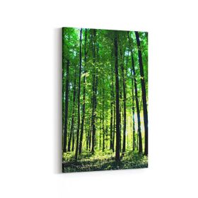 Olla 13364D Doğa Manzara Görseli Dikey 20x30 cm Kanvas Tablo