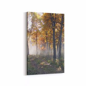 Olla 13419D Doğa Manzara Görseli Dikey 20x30 cm Kanvas Tablo