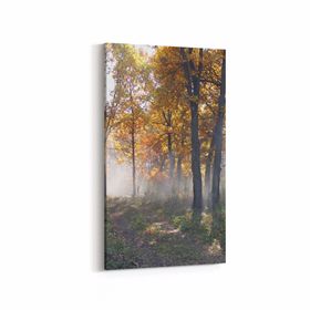 Olla 13419DD Doğa Manzara Görseli Dikey Dar 30x60 cm Kanvas Tablo