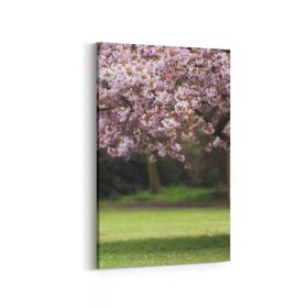 Olla 13444D Doğa Manzara Görseli Dikey 20x30 cm Kanvas Tablo