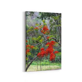 Olla 13446D Doğa Manzara Görseli Dikey 20x30 cm Kanvas Tablo