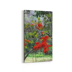 Olla 13446DD Doğa Manzara Görseli Dikey Dar 30x60 cm Kanvas Tablo