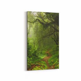 Olla 13455DD Doğa Manzara Görseli Dikey Dar 30x60 cm Kanvas Tablo