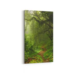 Olla 13455DD Doğa Manzara Görseli Dikey Dar 30x60 cm Kanvas Tablo