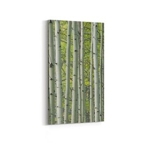 Olla 13468DD Doğa Manzara Görseli Dikey Dar 30x60 cm Kanvas Tablo