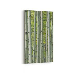 Olla 13468DD Doğa Manzara Görseli Dikey Dar 30x60 cm Kanvas Tablo