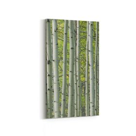 Olla 13468DD Doğa Manzara Görseli Dikey Dar 30x60 cm Kanvas Tablo