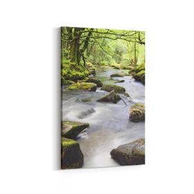 Olla 13469D Doğa Manzara Görseli Dikey 20x30 cm Kanvas Tablo