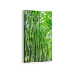 Olla 13474DD Doğa Manzara Görseli Dikey Dar 30x60 cm Kanvas Tablo