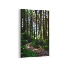 Olla 13495D Doğa Manzara Görseli Dikey 20x30 cm Kanvas Tablo