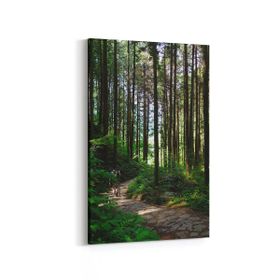 Olla 13495D Doğa Manzara Görseli Dikey 20x30 cm Kanvas Tablo