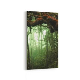 Olla 13514DD Doğa Manzara Görseli Dikey Dar 30x60 cm Kanvas Tablo