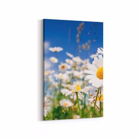 Olla 13544D Doğa Manzara Görseli Dikey 20x30 cm Kanvas Tablo