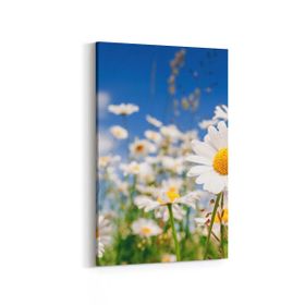Olla 13544D Doğa Manzara Görseli Dikey 20x30 cm Kanvas Tablo