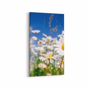 Olla 13544DD Doğa Manzara Görseli Dikey Dar 30x60 cm Kanvas Tablo