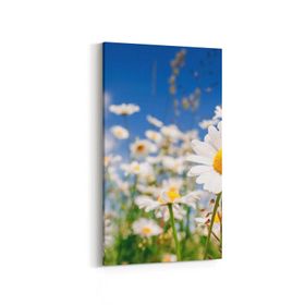 Olla 13544DD Doğa Manzara Görseli Dikey Dar 30x60 cm Kanvas Tablo