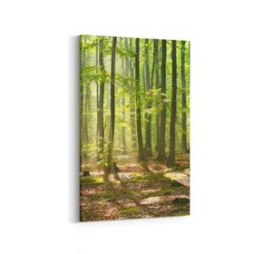 Olla 13593D Doğa Manzara Görseli Dikey 20x30 cm Kanvas Tablo