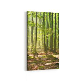 Olla 13593DD Doğa Manzara Görseli Dikey Dar 30x60 cm Kanvas Tablo