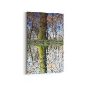 Olla 13617D Doğa Manzara Görseli Dikey 20x30 cm Kanvas Tablo