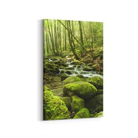 Olla 13638D Doğa Manzara Görseli Dikey 20x30 cm Kanvas Tablo