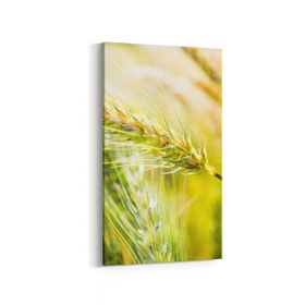 Olla 13670DD Doğa Manzara Görseli Dikey Dar 30x60 cm Kanvas Tablo