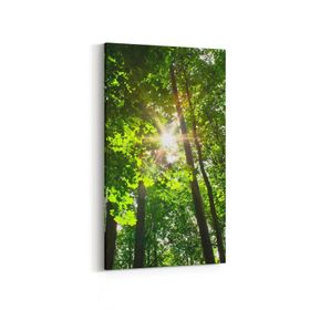 Olla 13710DD Doğa Manzara Görseli Dikey Dar 30x60 cm Kanvas Tablo