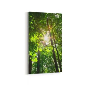 Olla 13710DD Doğa Manzara Görseli Dikey Dar 30x60 cm Kanvas Tablo