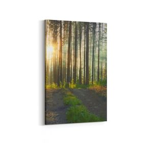 Olla 13833D Doğa Manzara Görseli Dikey 20x30 cm Kanvas Tablo