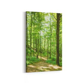 Olla 13850D Doğa Manzara Görseli Dikey 20x30 cm Kanvas Tablo
