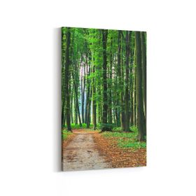 Olla 13870D Doğa Manzara Görseli Dikey 20x30 cm Kanvas Tablo