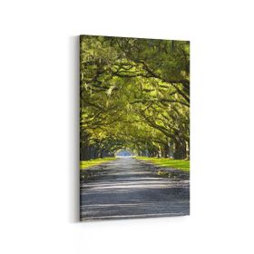Olla 13976D Doğa Manzara Görseli Dikey 20x30 cm Kanvas Tablo