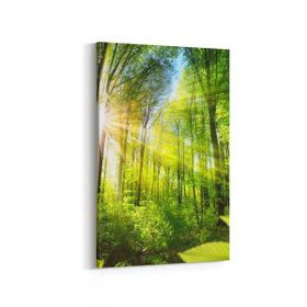 Olla 13987D Doğa Manzara Görseli Dikey 20x30 cm Kanvas Tablo