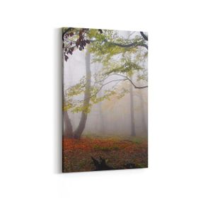 Olla 14134D Doğa Manzara Görseli Dikey 20x30 cm Kanvas Tablo