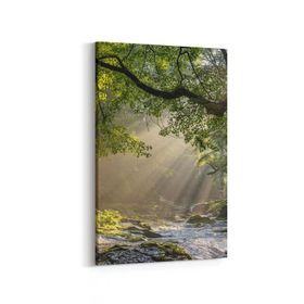 Olla 14139D Doğa Manzara Görseli Dikey 20x30 cm Kanvas Tablo
