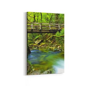 Olla 14285D Doğa Manzara Görseli Dikey 20x30 cm Kanvas Tablo