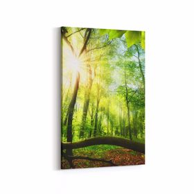 Olla 14313D Doğa Manzara Görseli Dikey 20x30 cm Kanvas Tablo