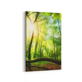 Olla 14313D Doğa Manzara Görseli Dikey 20x30 cm Kanvas Tablo