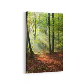 Olla 14355D Doğa Manzara Görseli Dikey 20x30 cm Kanvas Tablo