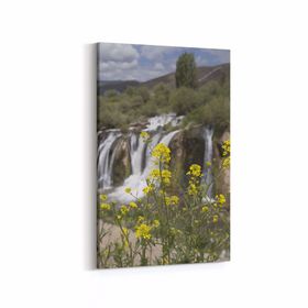 Olla 14365D Doğa Manzara Görseli Dikey 20x30 cm Kanvas Tablo