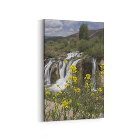 Olla 14365D Doğa Manzara Görseli Dikey 20x30 cm Kanvas Tablo