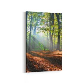 Olla 14606D Doğa Manzara Görseli Dikey 20x30 cm Kanvas Tablo