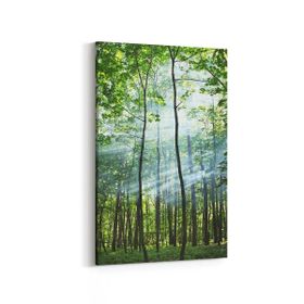 Olla 14621D Doğa Manzara Görseli Dikey 20x30 cm Kanvas Tablo
