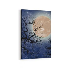 Olla 14638D Gece Gökyüzü Görseli Dikey 20x30 cm Kanvas Tablo