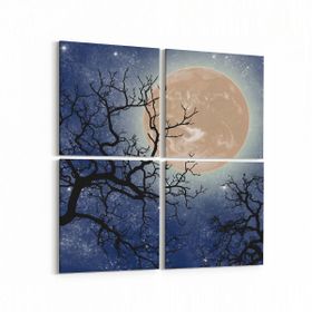 Olla 14638K4 Gece Gökyüzü Görseli Kare 4 Parça 65x65 cm Kanvas Tablo