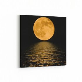 Olla 14648K Gece Gökyüzü Görseli Kare 25x25 cm Kanvas Tablo