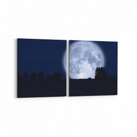 Olla 14669K2Y Gece Gökyüzü Görseli Kare 2 Parça Yatay 65x30 cm Kanvas Tablo