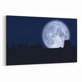 Olla 14669Y Gece Gökyüzü Görseli Yatay 30x20 cm Kanvas Tablo