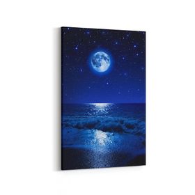 Olla 14697D Gece Gökyüzü Görseli Dikey 20x30 cm Kanvas Tablo